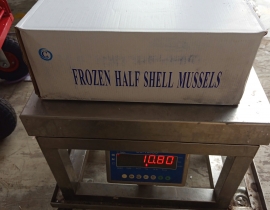 VẸM ĐEN NỬA MẢNH SIZE 31-35 THÙNG 10KG LÔ NHẬP NGÀY 06/06/2026