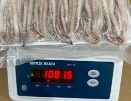ĐẦU MỰC ILEX RA VĨ NET 5