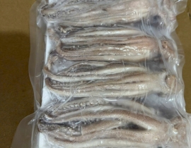 ĐẦU MỰC ILEX RA VĨ NET 5