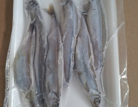 CÁ TRỨNG 6 CON (3 ĐỰC+3 CÁI)