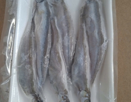 CÁ TRỨNG 6 CON (3 ĐỰC+3 CÁI)