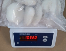 MỰC NANG BABY 10-20 CON TÚI 1KG N7 (ĐÃ BAO GỒM MẠ BĂNG)