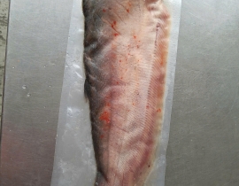 CÁ THÁT LÁT RÚT XƯƠNG SIZE 3 CON ( BAO TRƠN ) 