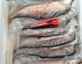 CÁ THÁT LÁT RÚT XƯƠNG SIZE 3 CON ( BAO TRƠN ) 
