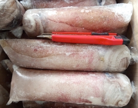 MỰC LÁ PLP 2A 600-800 LÔ NHẬP NGÀY 29/06/2026