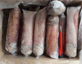 MỰC LÁ PLP 2A 600-800 LÔ NHẬP NGÀY 29/06/2026