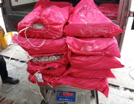 MỰC ILEX 180G - 200G