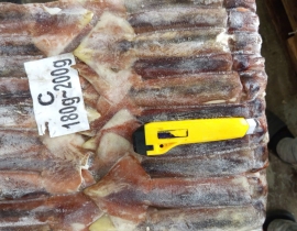 MỰC ILEX 180G - 200G