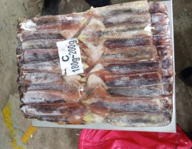 MỰC ILEX 180G - 200G