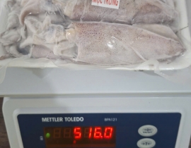 MỰC TRỨNG 100% TRỨNG VỈ 500G ĐỦ KG
