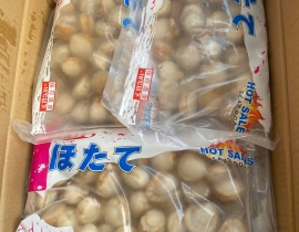 CÒI SÒ ĐIỆP HẤP 60-80 LÔ NHẬP NGÀY 12/05/2026