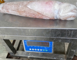 MỰC LÁ CUỘN 4A SIZE 1000UP ĐỦ KG LÔ NHẬP 14/04/2026