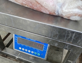 MỰC LÁ CUỘN 4A SIZE 1000UP ĐỦ KG LÔ NHẬP 14/04/2026