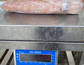 MỰC LÁ CUỘN 4A SIZE 1000UP ĐỦ KG LÔ NHẬP 14/04/2026