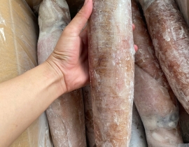 MỰC LÁ CUỘN 4A SIZE 1000UP ĐỦ KG LÔ NHẬP 14/04/2026