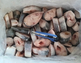 BASA CẮT KHOANH 