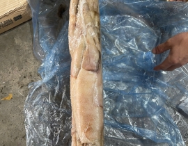 Mực argentina 200-300g