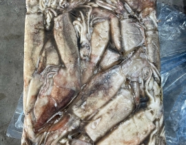 Mực argentina 200-300g