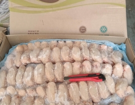 CÁNH GÀ XẾP LỚP BRASIL SAN SEBASTIAN 100G UP THÙNG 15KG LÔ NHẬP NGÀY 03/05/2026