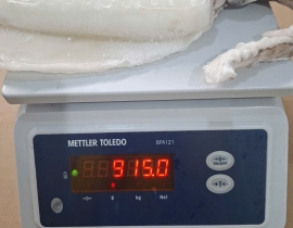 MỰC LÁ LÀM SẠCH NGUYÊN CON ĐÓNG XÔ N9 (ĐÃ BAO GỒM MẠ BĂNG) LÔ NHẬP NGÀY 24/04/2026