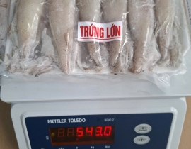 MỰC TRỨNG VỈ 500G N7 LÔ NHẬP 20/04/2026