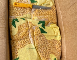 BẮP HẠT NGỌT LÔ NHẬP 14/04/2026