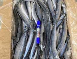 Cá thu đao size 70-100g/ con