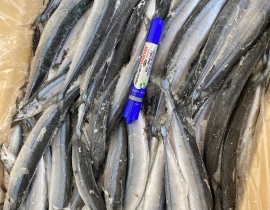 Cá thu đao size 70-100g/ con