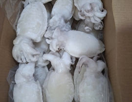 MỰC NANG LÀM SẠCH SIZE 200-500G NET 7