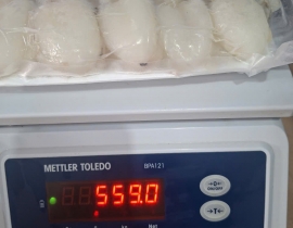 MỰC NANG 20-40 CON NET 7 XẾP KHAY 500G