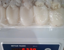 MỰC NANG 20-40 CON NET 7 XẾP KHAY 500G