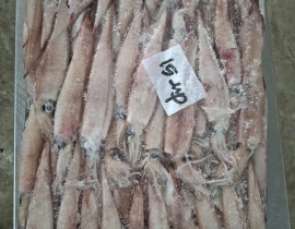 Mực trứng ghim 15 up hàng indo thùng 10 kg