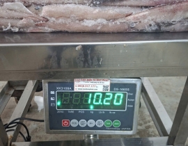 Mực trứng ghim 15 up hàng indo thùng 10 kg