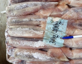 MỰC ỐNG INDO (ILEX) 300g-400g