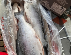 CÁ HỒI AYSEN COHO THÙNG 27KG LÔ NHẬP NGÀY 23/04/2026