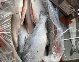 CÁ HỒI AYSEN COHO THÙNG 27KG LÔ NHẬP NGÀY 23/04/2026