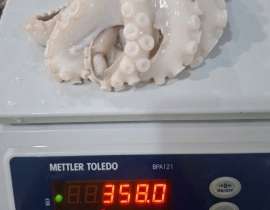 Bạch tuộc 2 da net 7