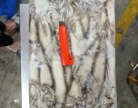 MỰC ỐNG ILEX 200-300G BAO XANH 