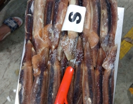 MỰC ỐNG ILEX 200-300G BAO XANH 