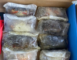CUA LỘT A N7 SIZE 8-10 THÙNG 10KG LÔ NHẬP NGÀY 13/05/2026