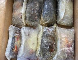 CUA LỘT A N7 SIZE 8-10 THÙNG 10KG LÔ NHẬP NGÀY 13/05/2026