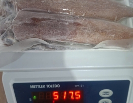 MỰC TRỨNG NHÁY SIZE 6-8 CON NET 8