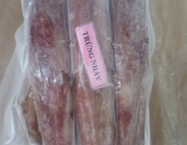MỰC TRỨNG NHÁY SIZE 6-8 CON NET 8