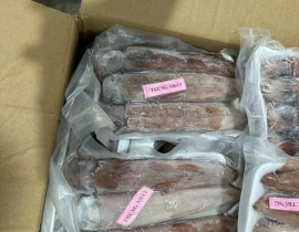 MỰC TRỨNG NHÁY SIZE 6-8 CON NET 8