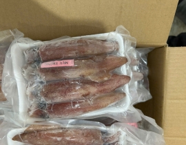 MỰC TRỨNG NHÁY SIZE 6-8 CON NET 8