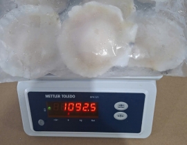 SÒ ĐIỆP NHẬT NỮA MÃNH 7-8CON/KG TÚI 1KG N5 LÔ NHẬP NGÀY 06/05/2026