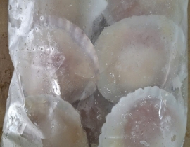 SÒ ĐIỆP NHẬT NỮA MÃNH 7-8CON/KG TÚI 1KG N5 LÔ NHẬP NGÀY 06/05/2026