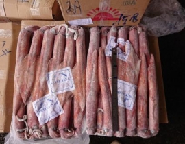 MỰC ỐNG SỐ 2