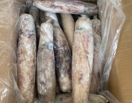 MỰC LÁ CUỘN 4A SIZE 500-1000G ĐỦ KG LÔ NHẬP 14/04/2026