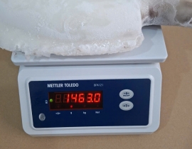 MỰC NANG LÀM SẠCH TRẮNG ĐẸP 1KG-2KG N7 (ĐÃ BAO GỒM MẠ BĂNG) LÔ NHẬP NGÀY 23/04/2026